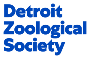 The words Detroit Zoological Society stacked in blue lettering